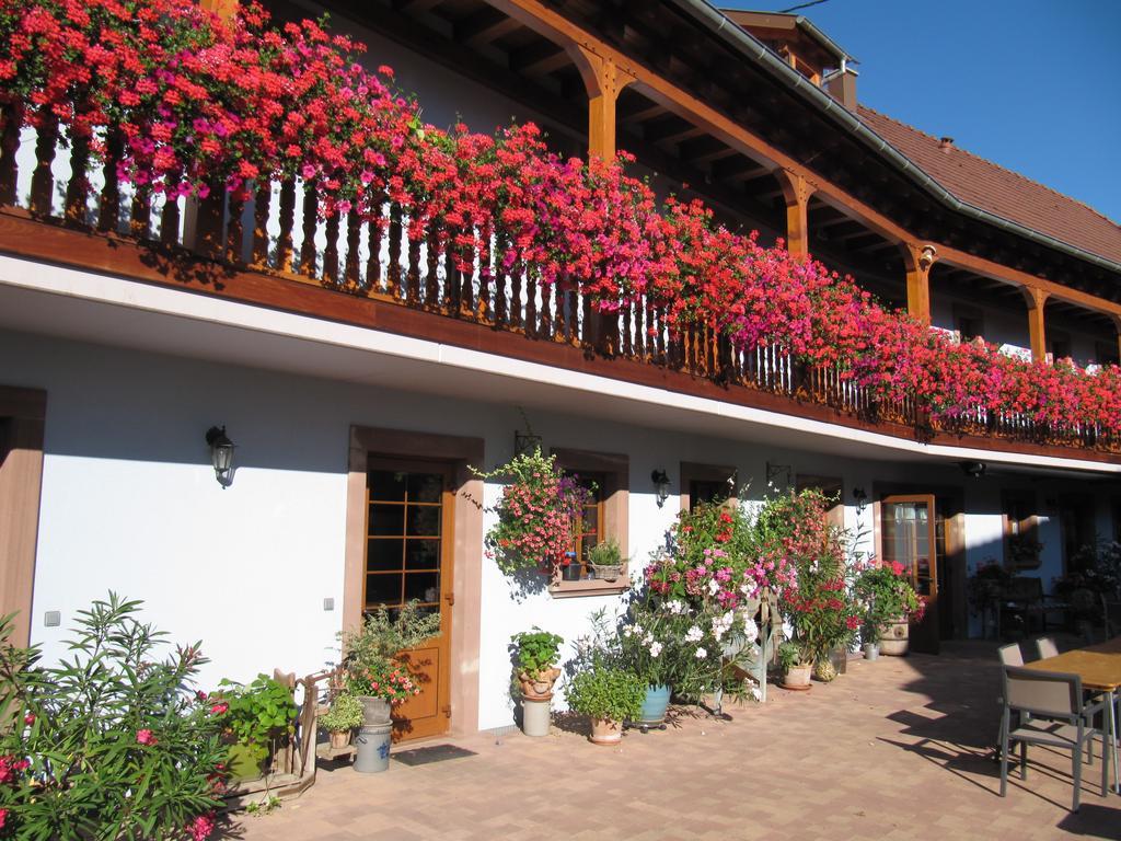 La Ferme De Louise Bed & Breakfast Hohengoeft Exterior photo